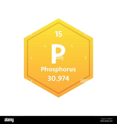 Phosphorus Symbol Chemical Element Of The Periodic Table Vector Stock