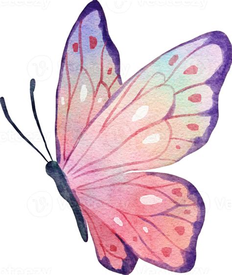 Butterfly Watercolor Illustration Butterfly Watercolor Butterfly Art