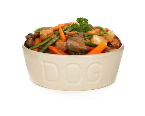 They are also especially well suited for dogs with dietary problems such as food allergies, diabetes, and obesity. 10 Best Homemade Dog Food Recipes for Large Dogs