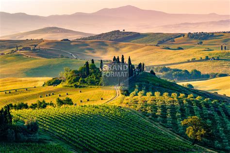 Toscane Italie Vigne Photo à Télécharger Grand Format Numérique