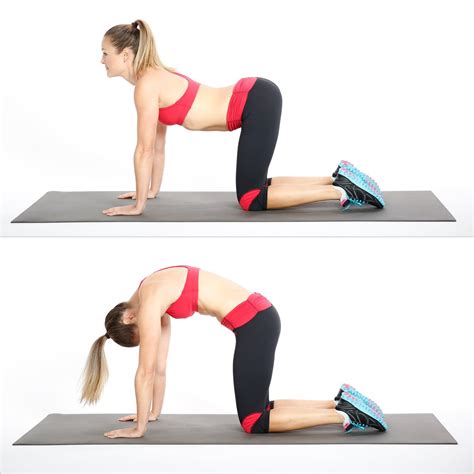 Relieve Back Pain With Cat Cow Stretch Popsugar Fitness Cat Cow