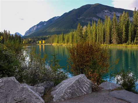 Visit Banff And Jasper National Parks Travelalerts