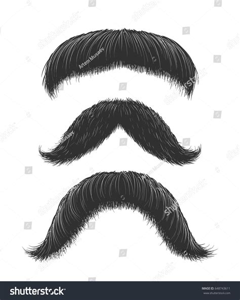 Set Three Hand Drawn Mustaches Old Stock Vector Royalty Free 648743611