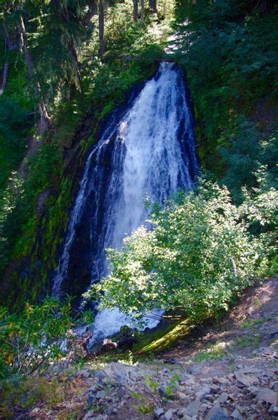 Fall Creek Falls Diamond Peak Wilderness Hiking In Portland Oregon