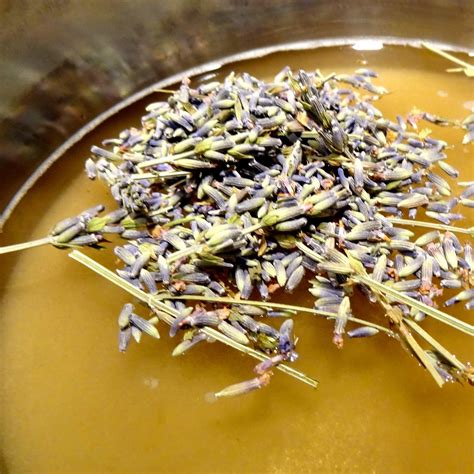 Lavender Simple Syrup Recipe Geeks With Drinks