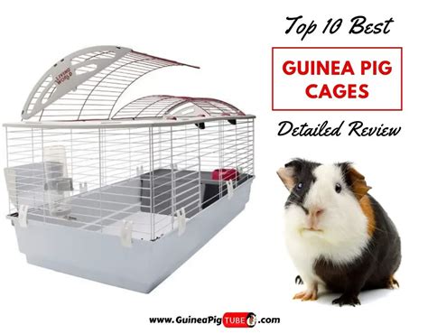 Top 10 Best Guinea Pig Cages In 2022 Reviews And Guide Guinea Pig Tube