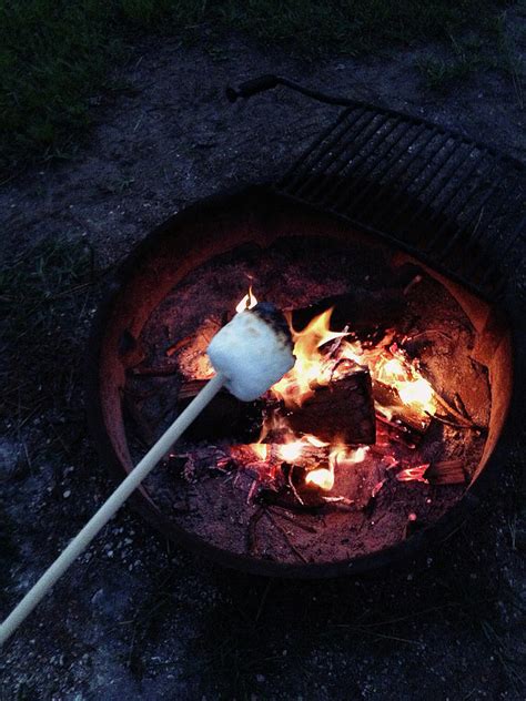 Roasting Marshmallows Over Campfire By Jenny Wymore Sunkissed Photography