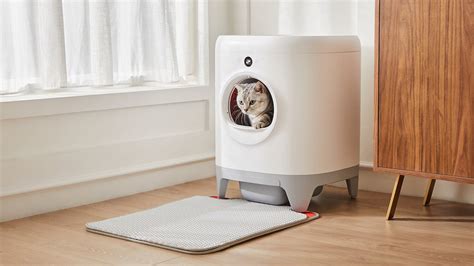 10 Essential Gadgets For Pet Parents To Pamper Their Furbabies With