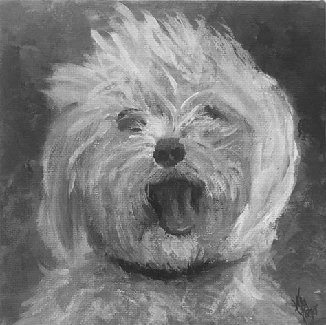 Maltese Puppy Portrait Painting By Kelly J Kreger Pixels