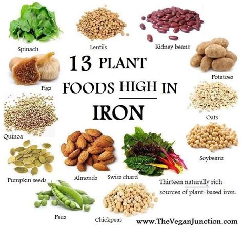 The 25 Best Foods High In Iron Ideas On Pinterest