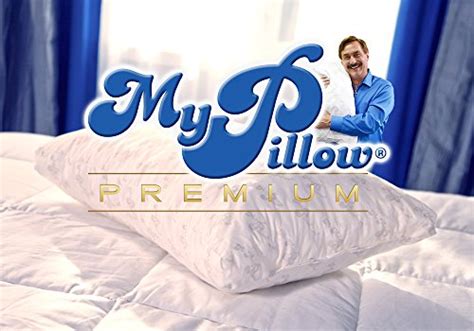 Broken sleep is a pretty hefty price to pay for cheap pillows. My Pillow Premium Series Bed Pillow, Standard/Queen Size ...