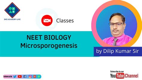 Neet Biology 202045 Days Quick Revision Seriesplant Reproduction
