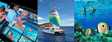 Four Winds Ii Molokini Snorkel Trip Maui Tripster