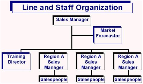 Public Administration Types Of Authority Line And Staff Roles