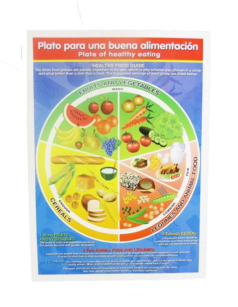 Material Didactico Imprimir El Plato Del Buen Comer Material Colección