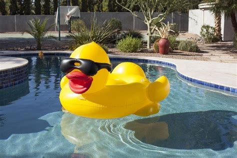 Giant Duck Pool Float Artofit