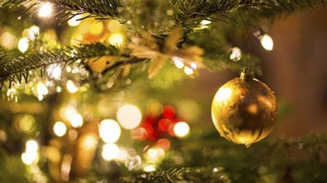 Ab wann kann man für weihnachten dekorieren. Da schmückt man den Baum und gibt sich aller größte Mühe ...