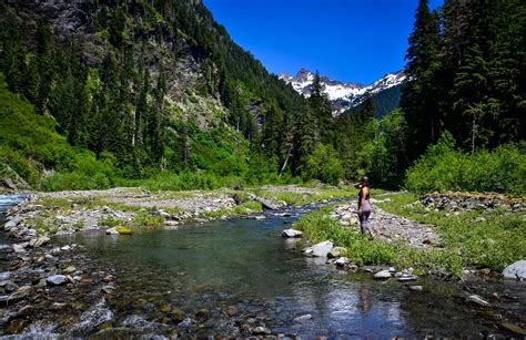 Enchanted Valley Trail Guide One Of The Best Hikes In The Olympic