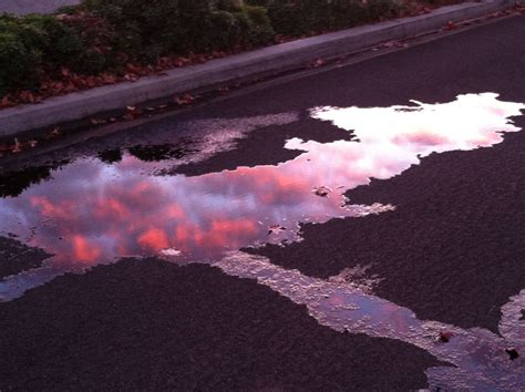 Post Rain Puddles Reflecting The Sunset Color Photography Sunset Photo