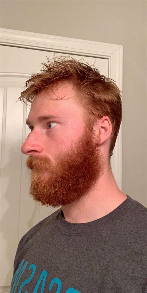 4 12 Months Of Growth And Loving It Any Tips For Not Devouring Your Mustache While Eating