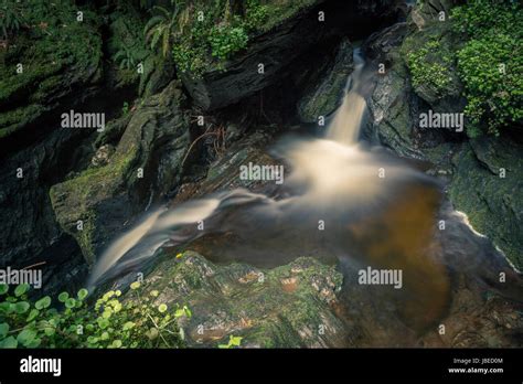 Pucks Glen Argyll Forest Park By Dunoon A Magical Gorge With