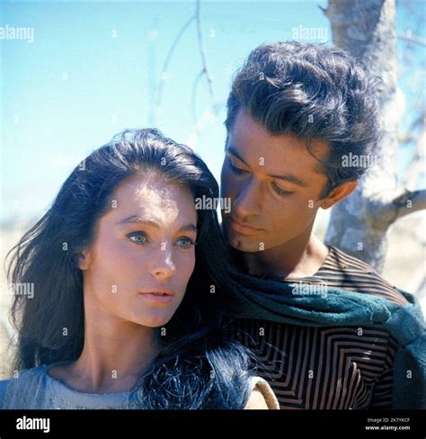 Shirley anne field hi-res stock photography and images - Alamy