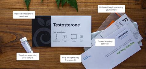 At Home Testosterone Test Easy To Use And Understand Everlywell
