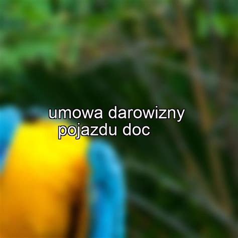 Umowa Darowizny Pojazdu Doc Umowyarchiwum Pl Hot Sex Picture