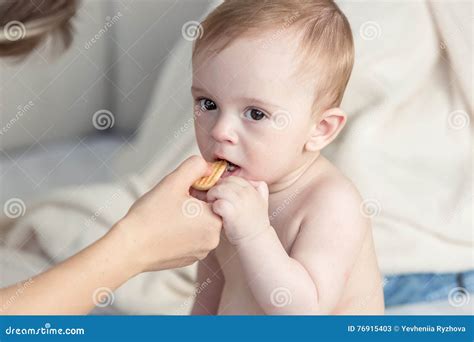 Closeup Of Adorable Baby Boy Biting Cookie From Mothers Hand Stock