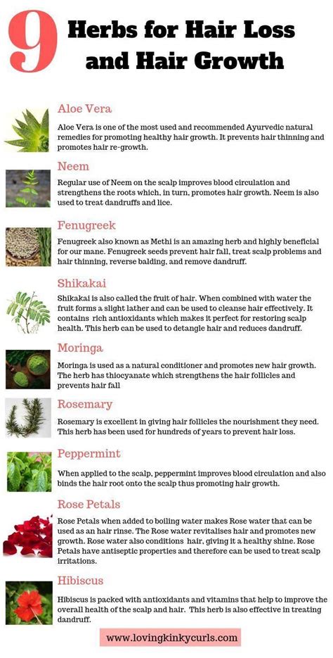 Here Is A List Of 9 Natural Herbs That Have Been Used For Decades To