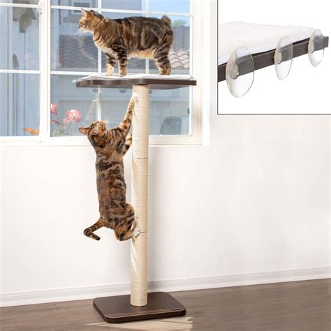 The 10 Best Cat Window Perch And Bed Of 2020