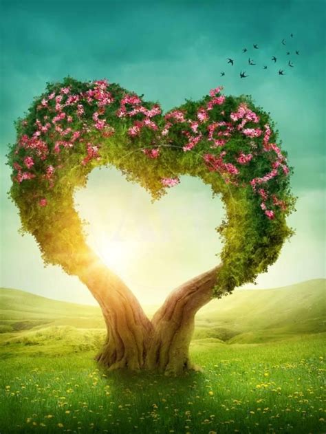 Heart Shaped Tree In The Meadow Photographic Print Egal