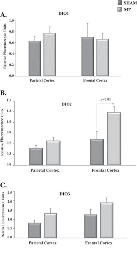 Expression Levels Of DIO1 A DIO2 B And DIO3 C Genes In The