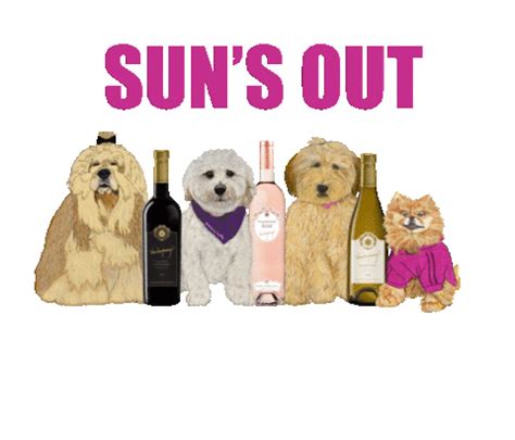 Vanderpump Wines GIFs On GIPHY Be Animated