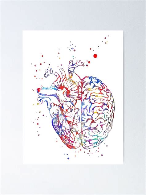 Brain And Heart Brain Anatomy Heart Heart Anatomy Medical Art
