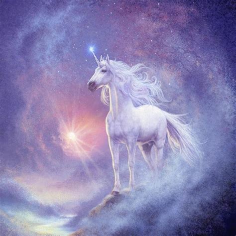 What Do Unicorns Represent See Important Facts Unicorn Wonders