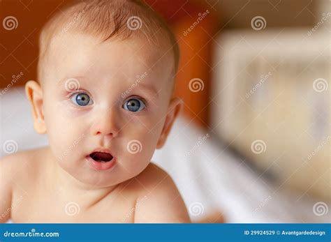 Newborn Baby Looking Stock Image Image Of Glad Little 29924529