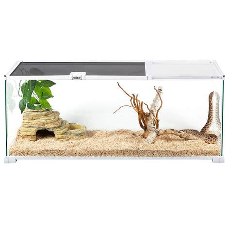 Top Imagen Gallon Reptile Tank Background Thpthoanghoatham Edu Vn