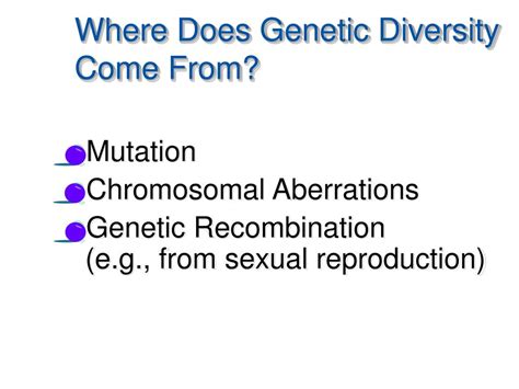 Ppt Human Genetic Traits Powerpoint Presentation Free Download Id