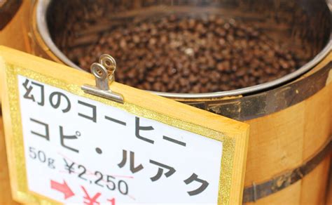 いよいよ完売、幻のコーヒー「コピ・ルアク」 自家焙煎珈琲専門店 かほり 福岡県那珂川市のコーヒーショップ
