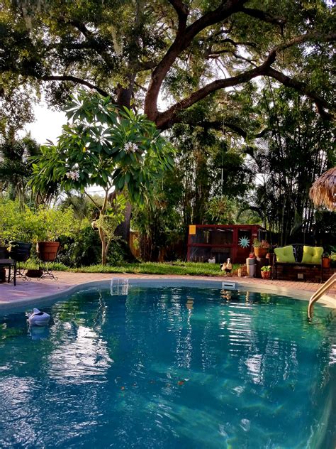 Backyard escape : r/CozyPlaces