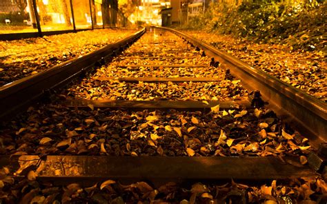 Autumn Trees Nature Landscape Leaf Leaves Railroad Train Tracks