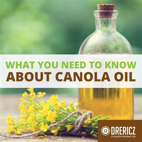 Canola Oil Nutrition Facts Pros Cons And What You Need To Know Canola