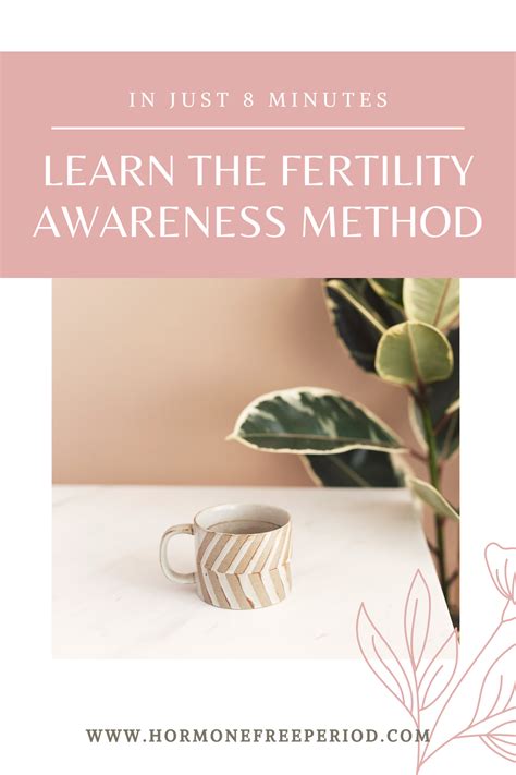 What Is Fertility Fertility Foods Natural Fertility Egg Health