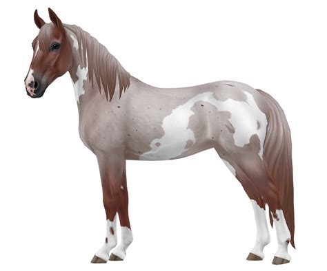 Tennessee Walker Horse Breed Of Jorvik Star Stable