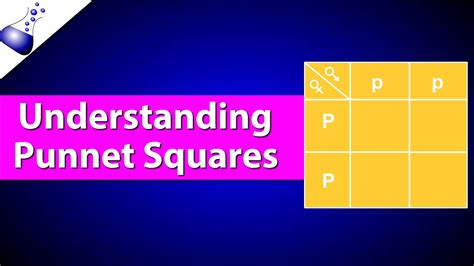 It is used to predict the possible offspring from a cross, or mating between two parents. How Punnett Squares Work - YouTube