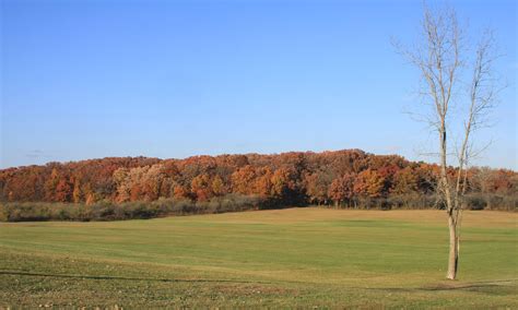 The Science Behind Fall Foliage Forest Preserve District Of Will County