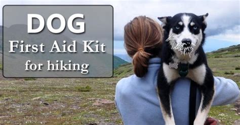Dog First Aid Kit Checklist For Hiking Camping And Backpacking Mom