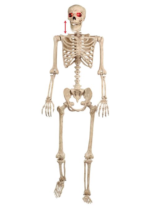 Animated Mr Crazy Bonez Skeleton Decoration