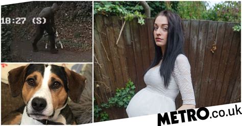 Pregnant Woman Pushed To Ground And Had Dog Stolen While Out For A Walk